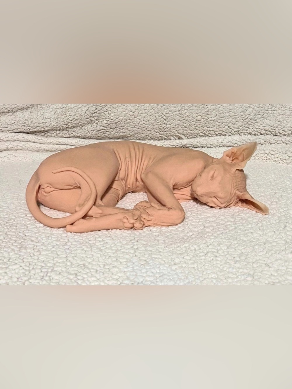 Adult Silicone sphynx cat